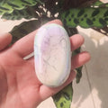 Natural Emerald Palm Stone Polished 210-220g L50788