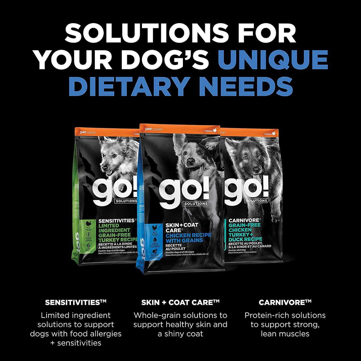 Chicken Recipe Dry Dog Food Y402