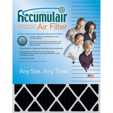 Carbon 19x21x1 MERV 8 Air Filter (4 Pack) S7422
