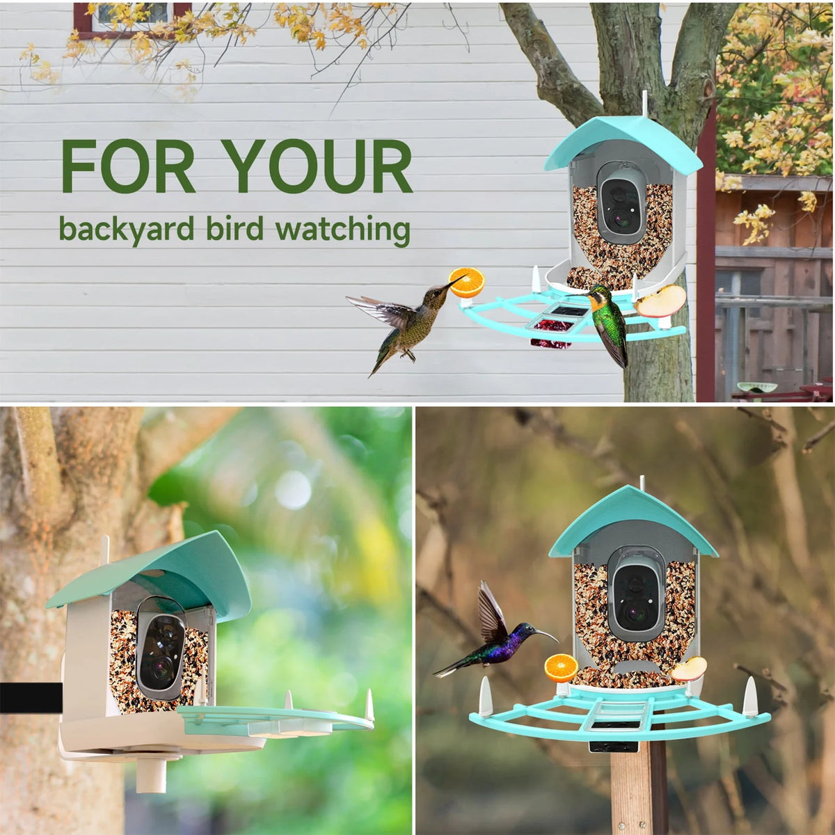 Solar-Powered WiFi 1080P Camera Bird Feeder Z43598