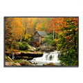Framed Photograph Print L656