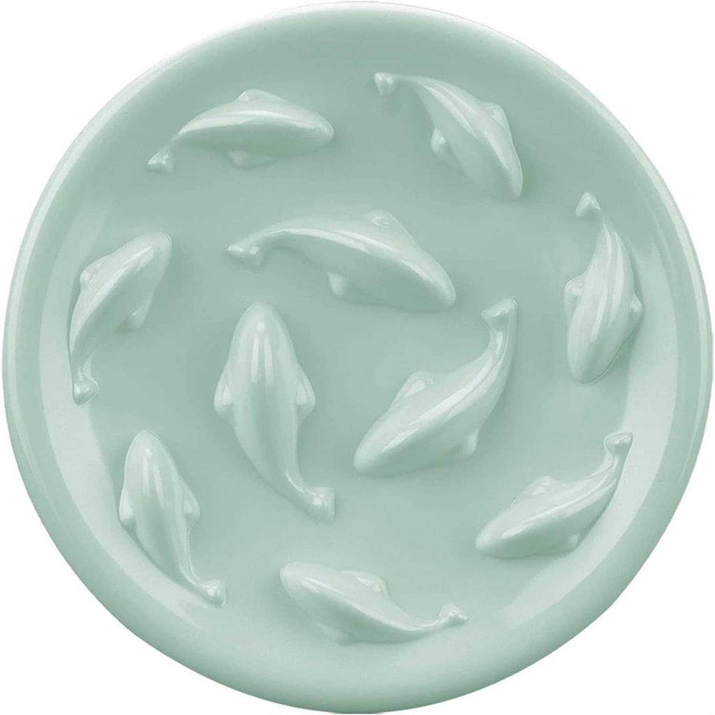 Slow Feeder Bowl for Cats and Small Dogs Y5932