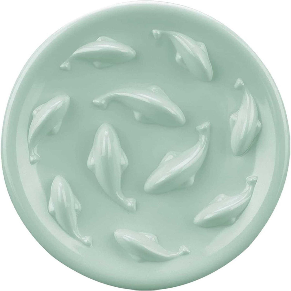 Slow Feeder Bowl for Cats and Small Dogs Y5932