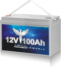 12V 100Ah Deep Cycle LiFePO4 Battery with Built-in BMS L643