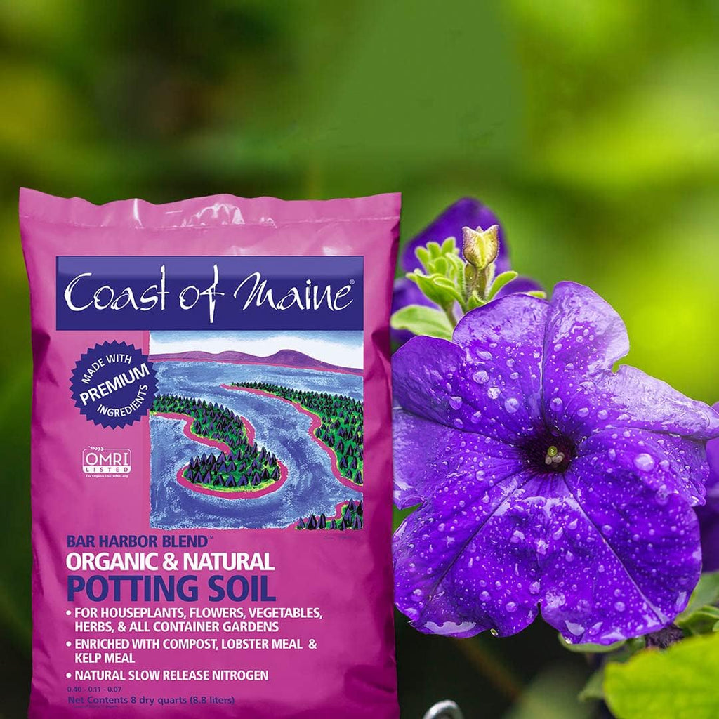 Organic Natural Potting Soil (8qt) T84337