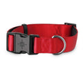 Neoprene Padded Dog Collar P3197
