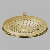 Brushed Nickel Ceiling Mount Raincan Shower Head F970212