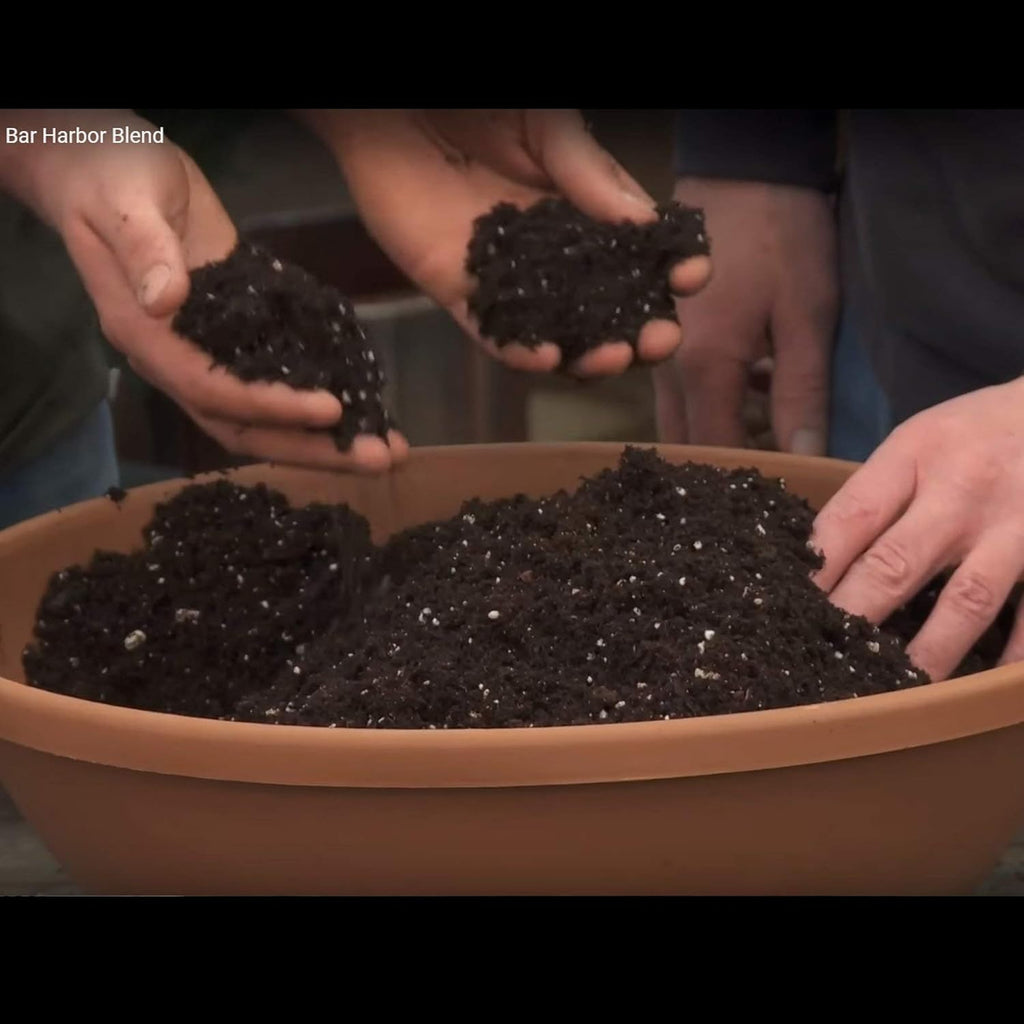 Organic Natural Potting Soil (8qt) T84337