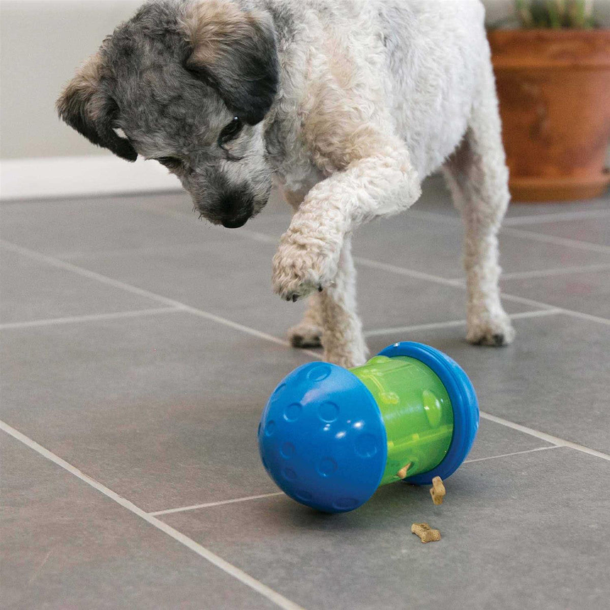 Dog Toy V839