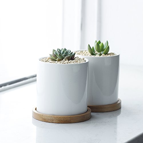 3 Inch White Ceramic Planter Set of 2 with Bamboo Tray A70344