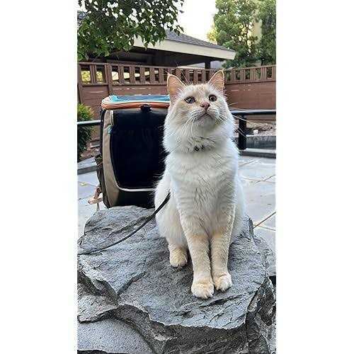 Convertible Cat Backpack D96894