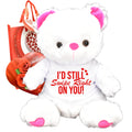 Teddy Bear Chocolates Gift Bag C687625