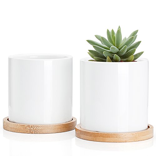 3 Inch White Ceramic Planter Set of 2 with Bamboo Tray A70344