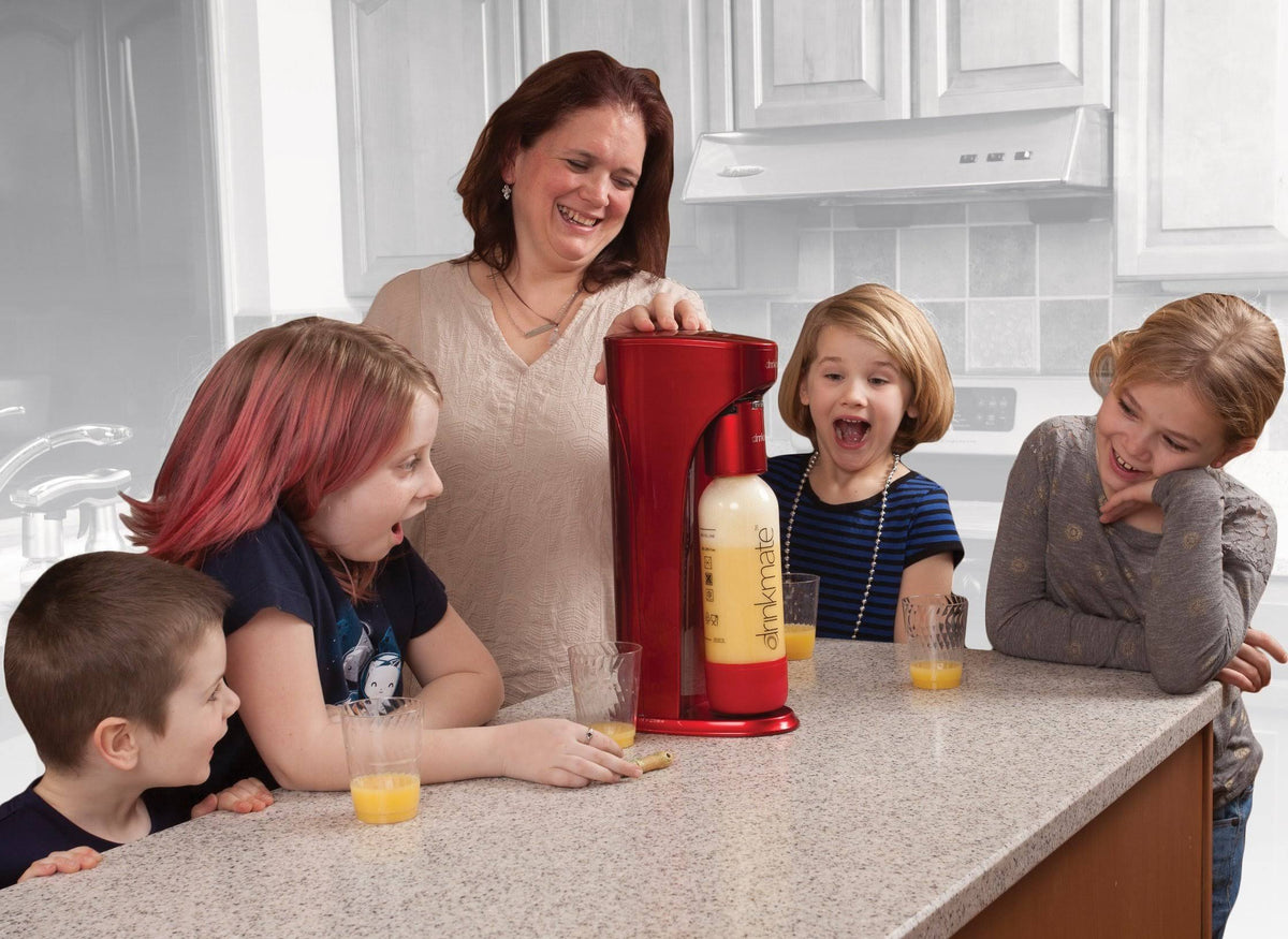 Sparkling Water and Soda Maker with 1L Bottle Z9562