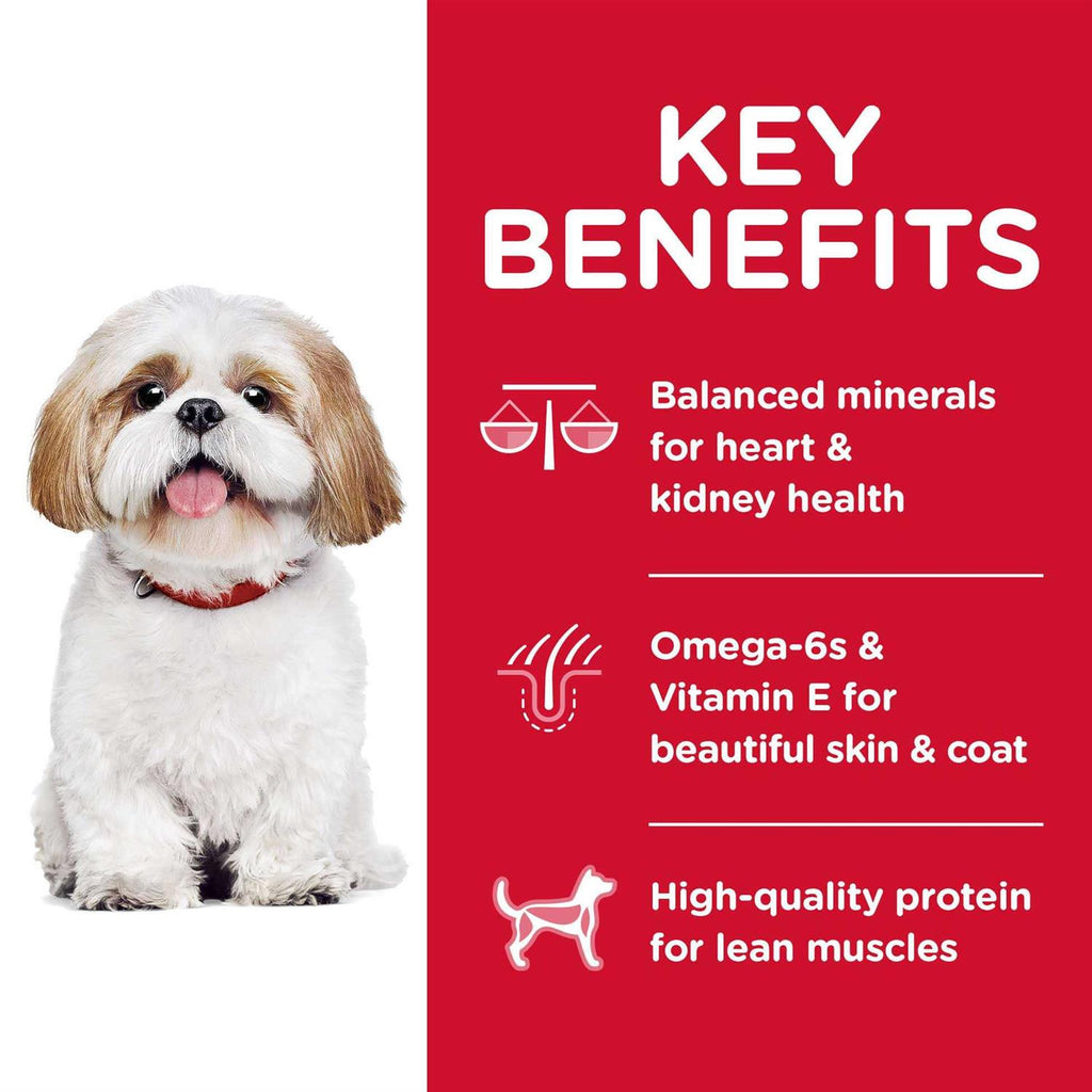 Adult 7+ Small Bites Chicken Meal Dry Dog Food Y96771