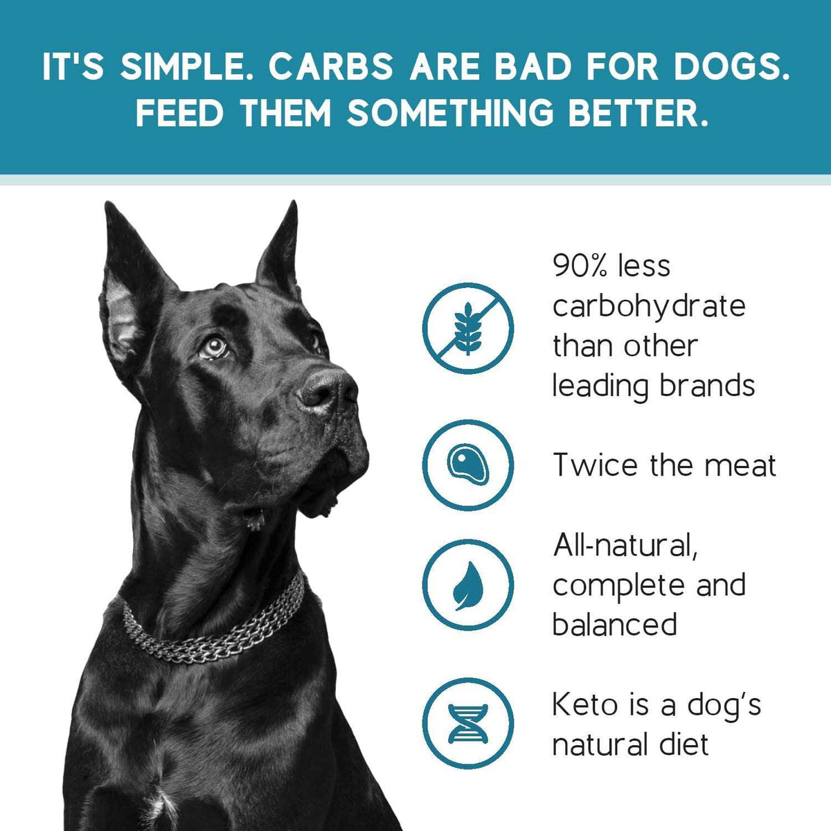 Salmon Recipe Adult Dry Dog Food H106