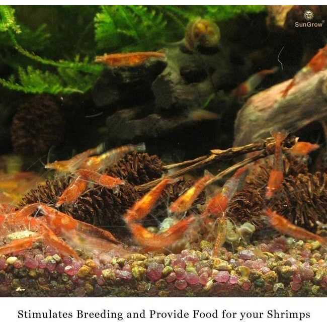 Alder Cones Aquarium Water Conditioner & Food C378693