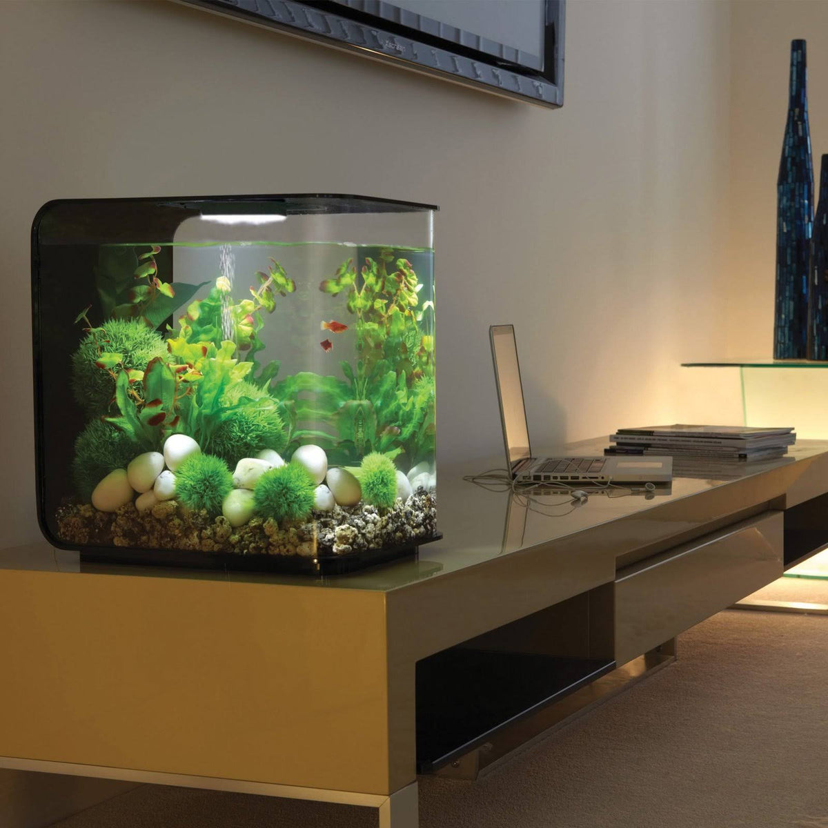 Black 8 Gal Aquarium with LED Light M955480