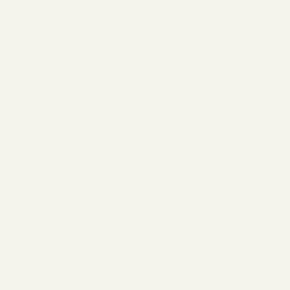White 2 Gallon Latex Primer B536