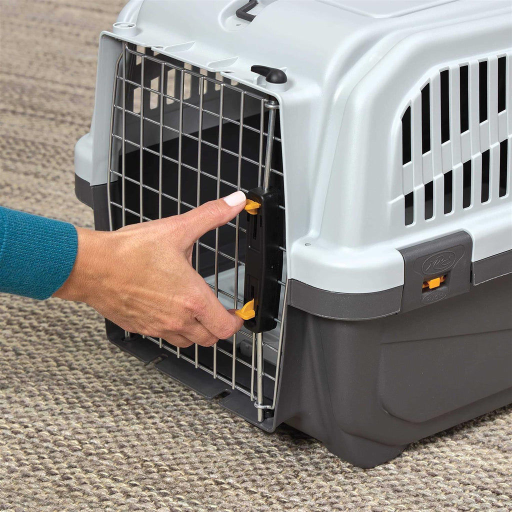24” Plastic Cat Carrier with Litter Pan W575185