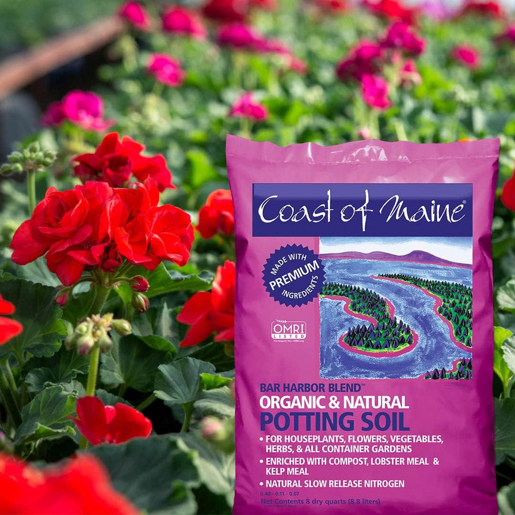 Organic Natural Potting Soil (8qt) T84337