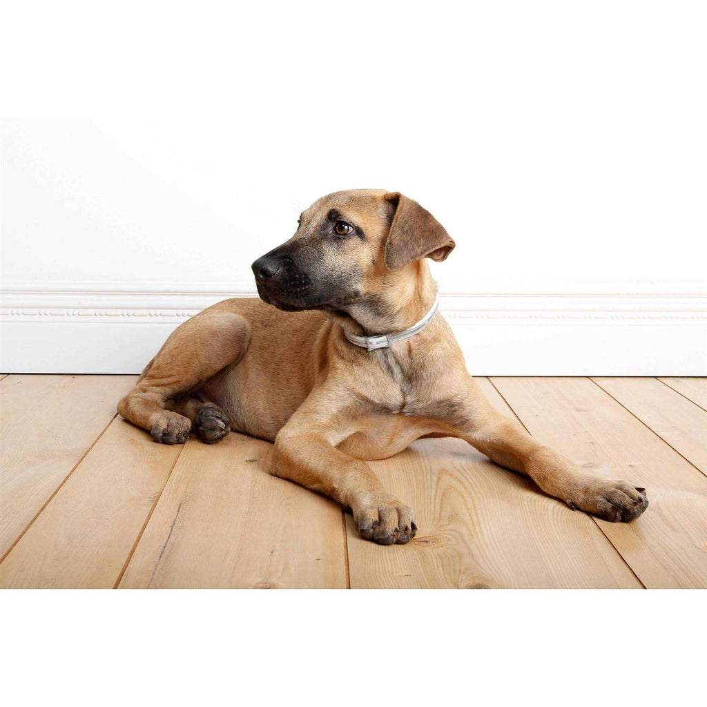 Flea & Tick Collar for Dogs P6027