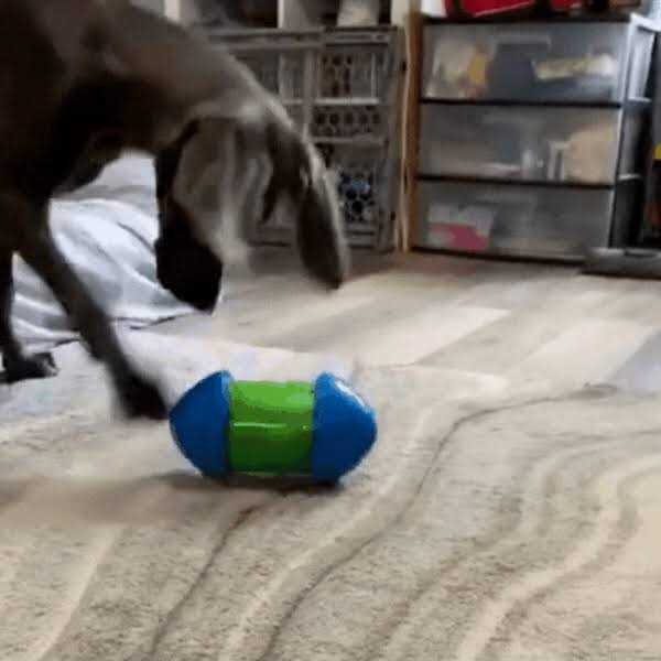 Dog Toy V839