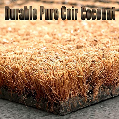 Turtle Coir Fiber Front Door Mat 16x24in K48678
