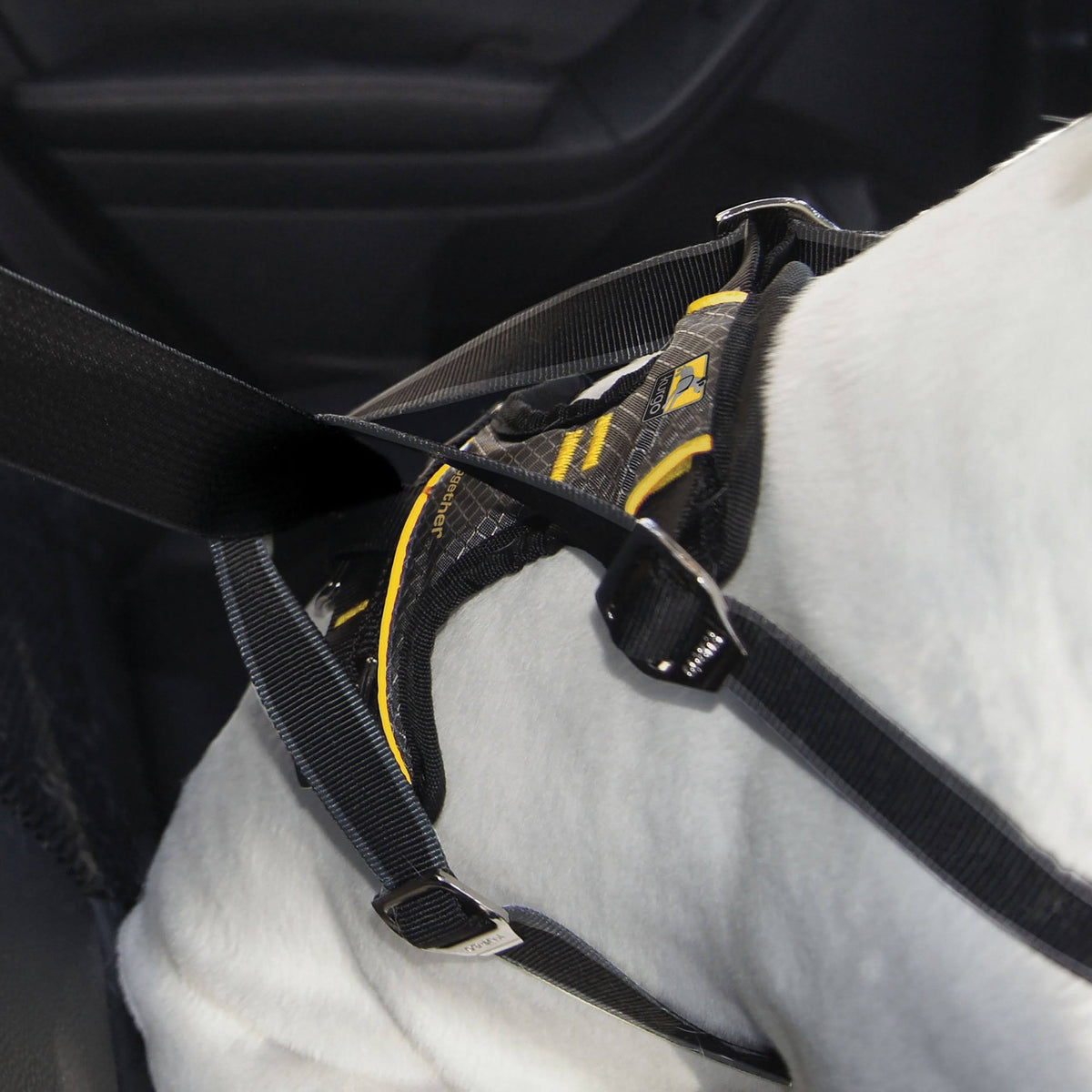 Impact Dog Car Harness B22448