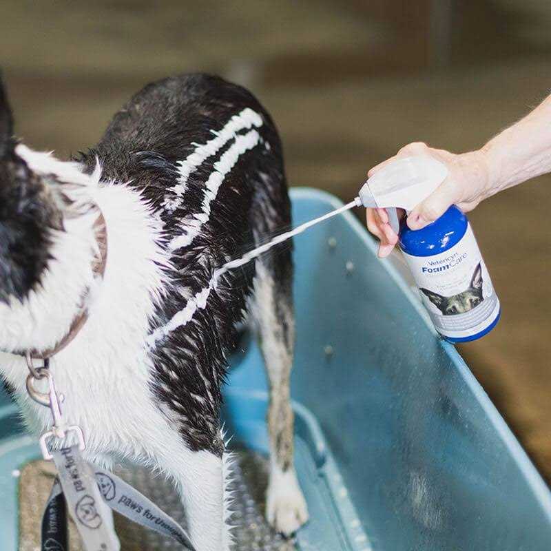 Medicated Pet Shampoo Z8056