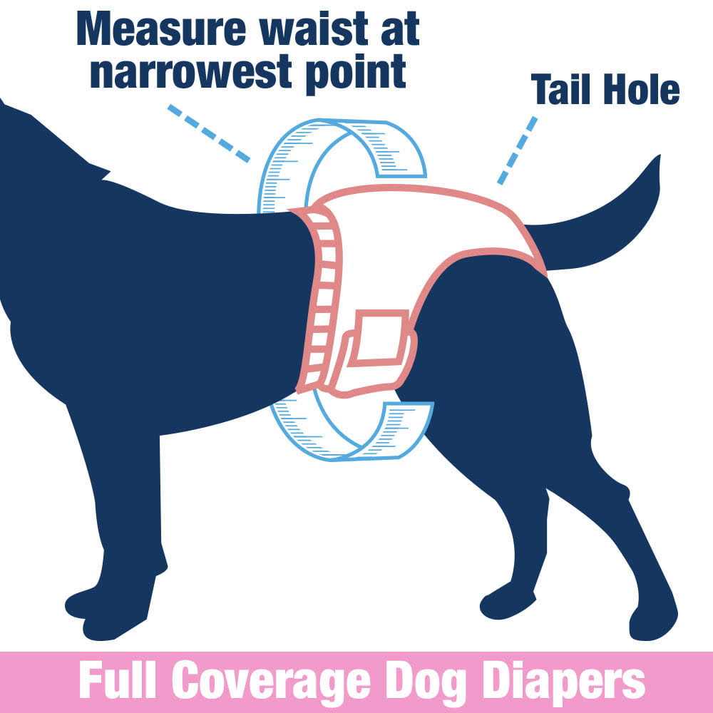 Female Dog Disposable Diapers E676022