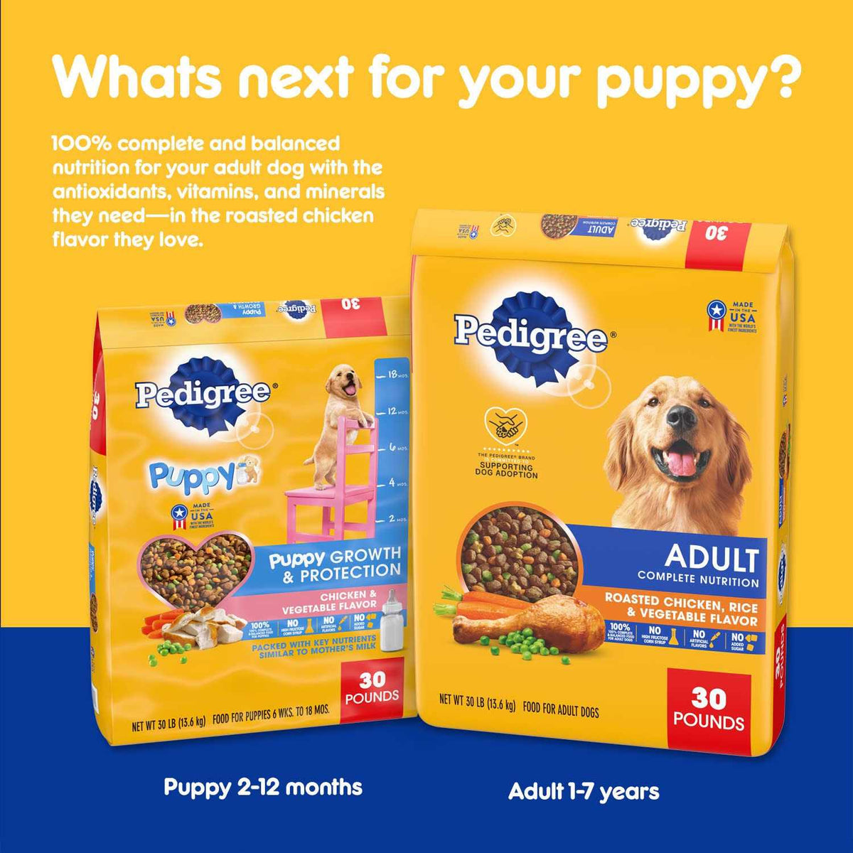 Pedigree Dry Dog Food Chicken & Vegetable Flavor Y47509