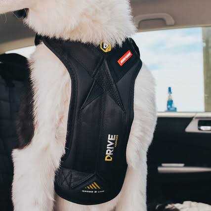 Dog Car Harness Y657