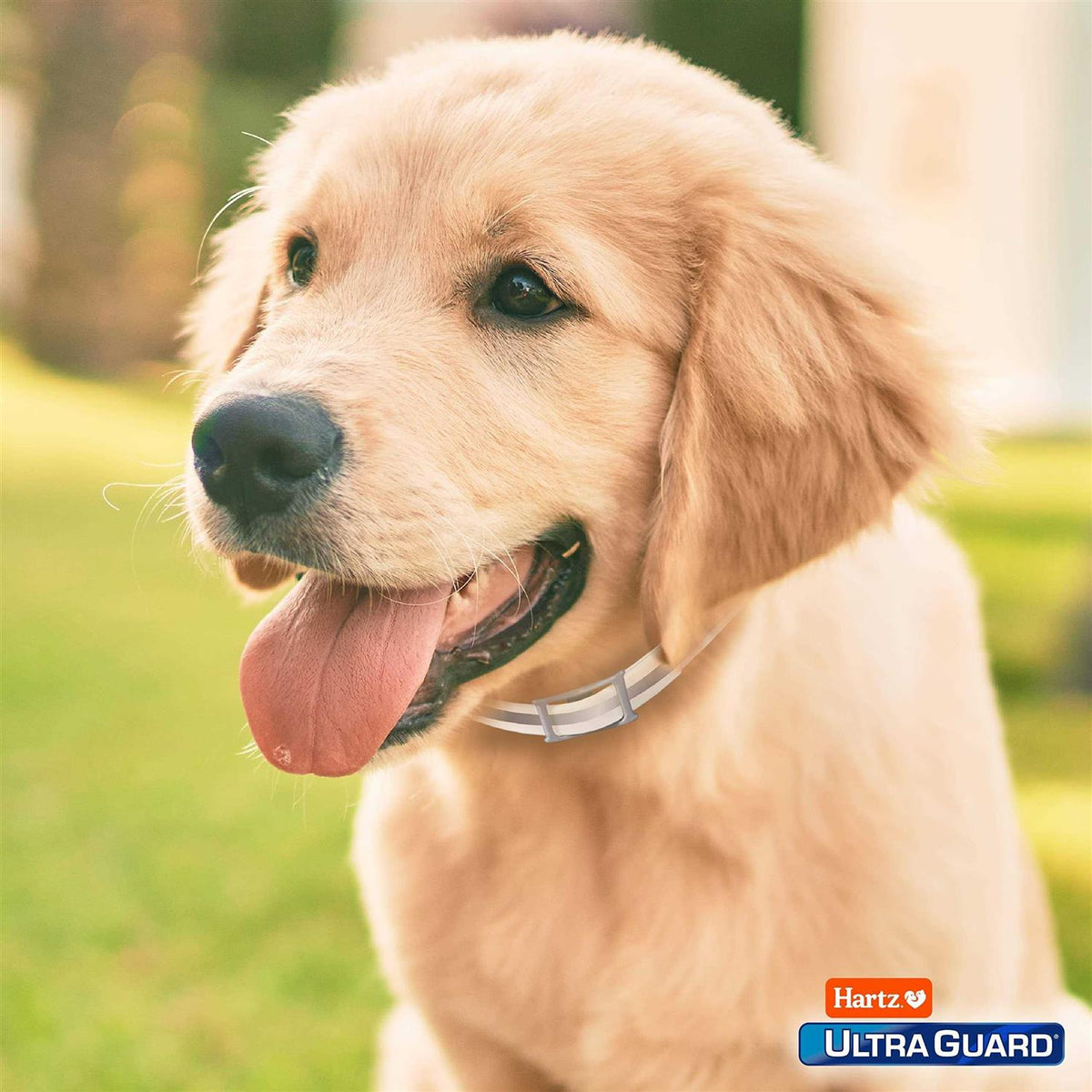Flea & Tick Collar for Dogs P6027