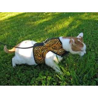 Cat Harness D107059