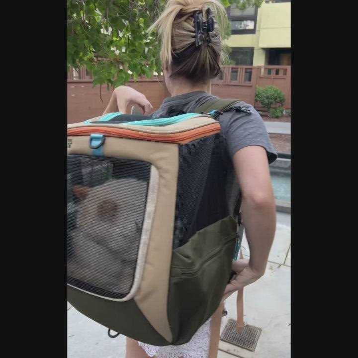 Convertible Cat Backpack D96894