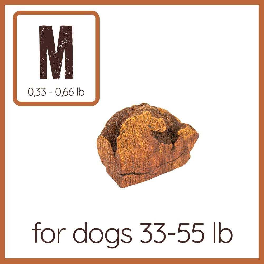 Chew Root for Dogs N830071