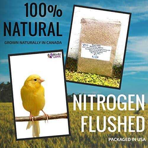 Canary Seed for Canaries and Finch Birds N1591