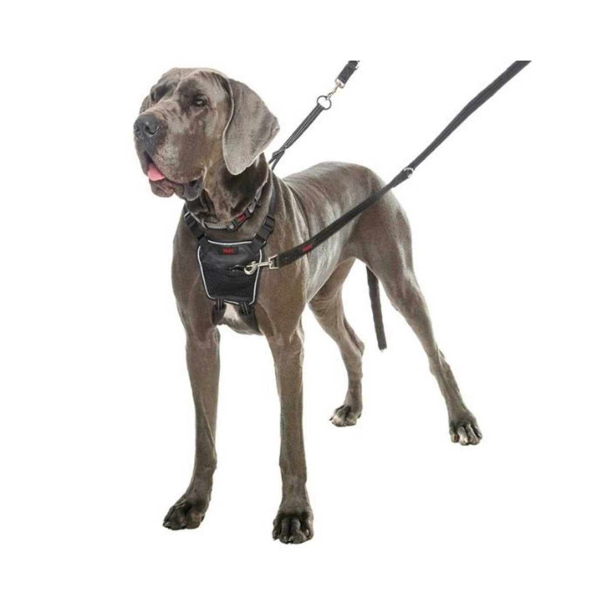 No Pull Harness U238
