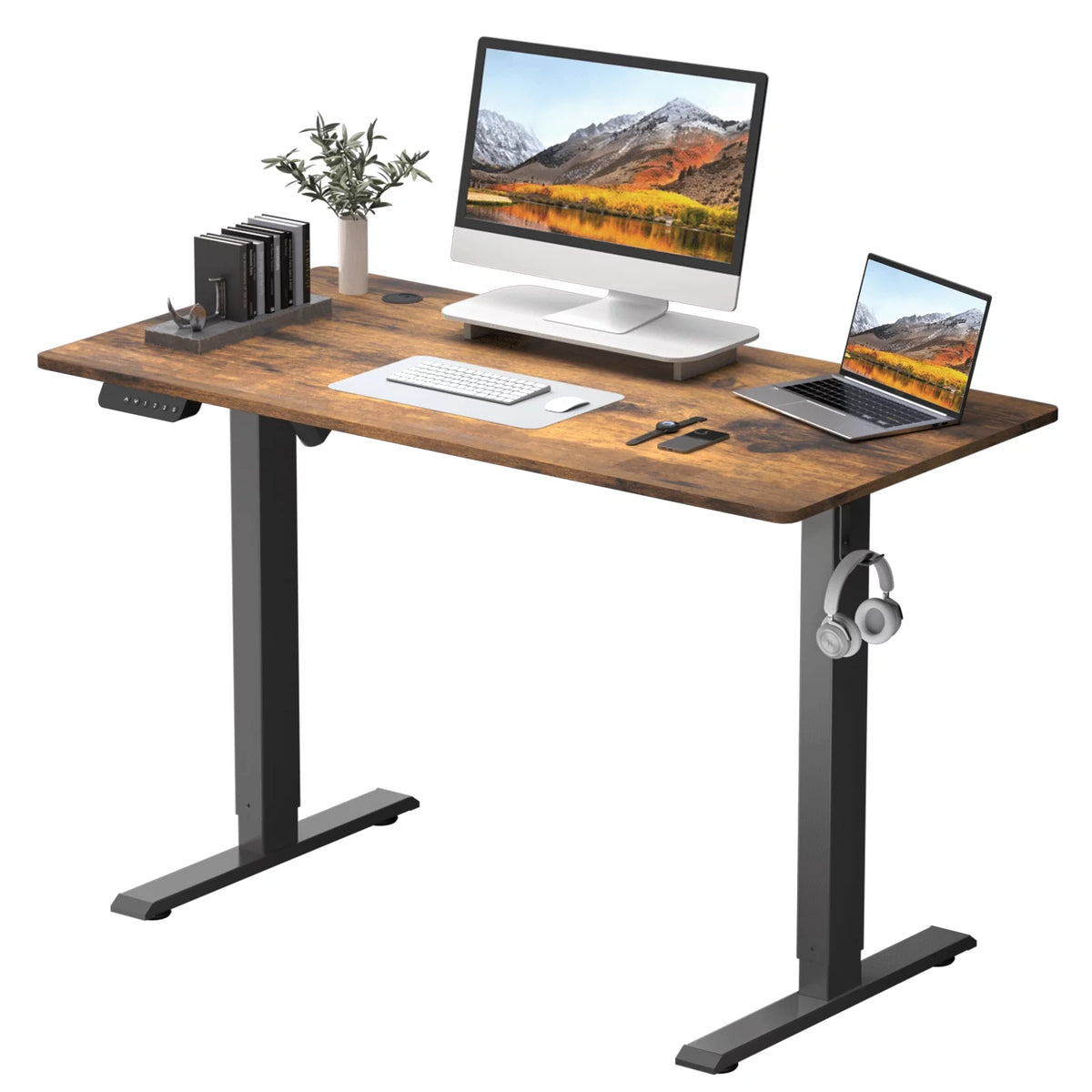48 x 24 Inch Electric Standing Desk C91842