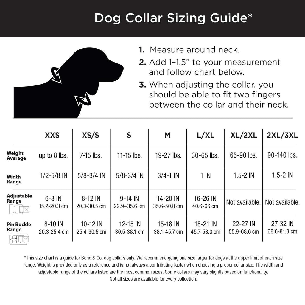 Neoprene Padded Dog Collar P3197