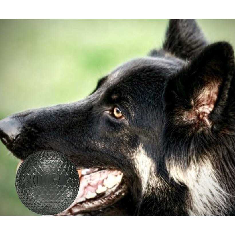 Duramax Ball Dog Toy L6773
