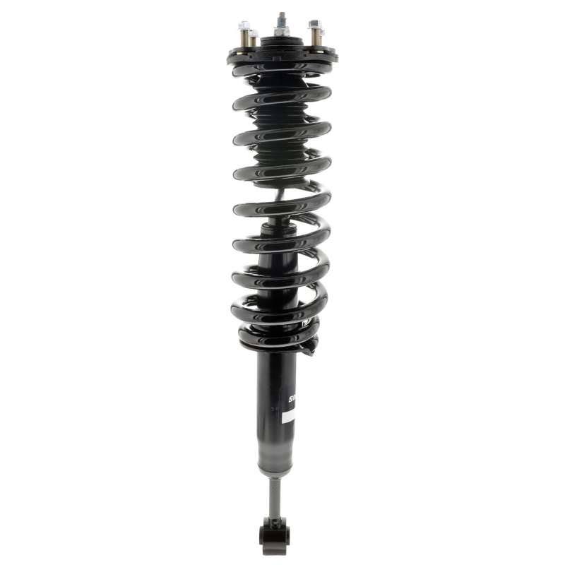 Strut-Plus Shocks C39875