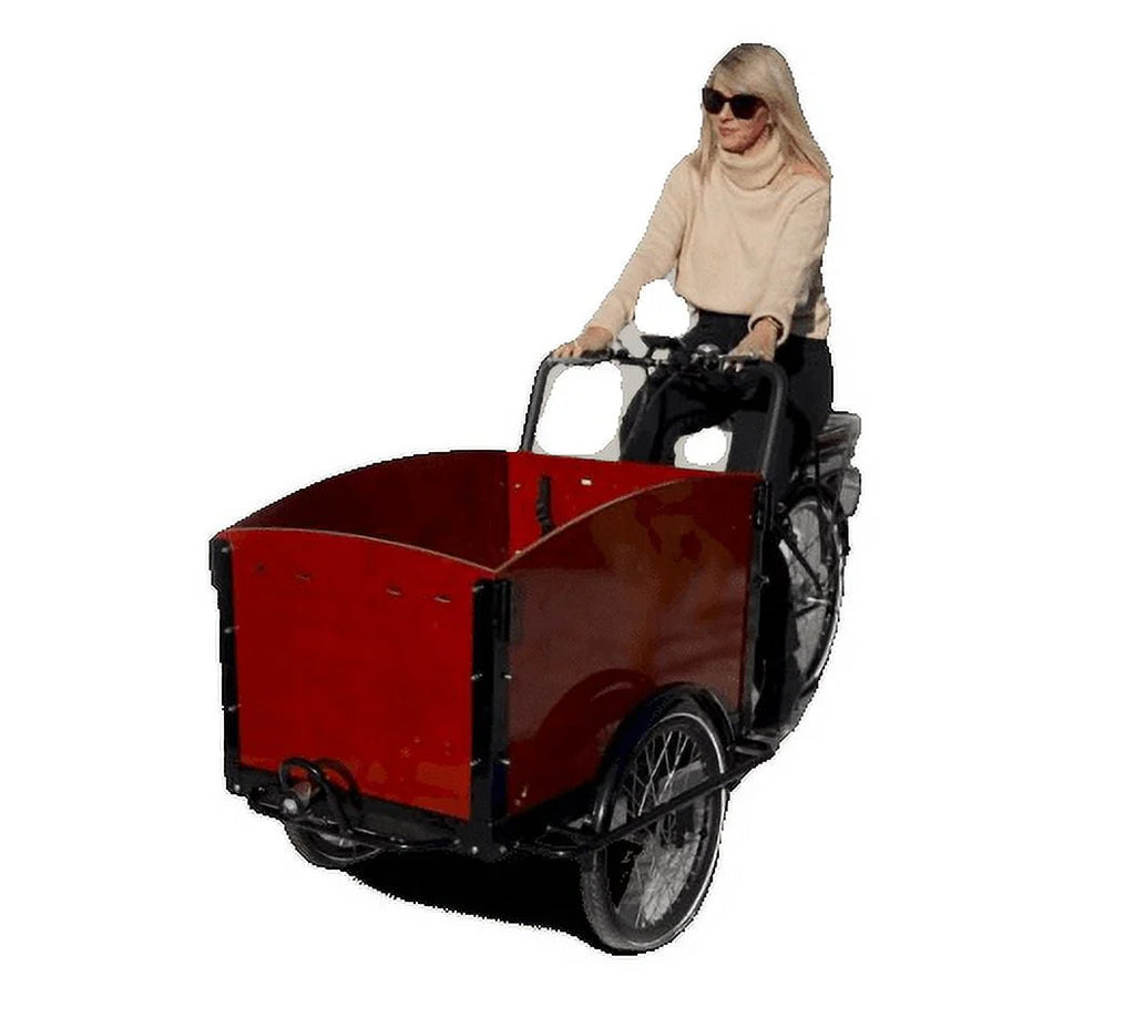 Electric Dutch Cargo Tricycle Bike P61438