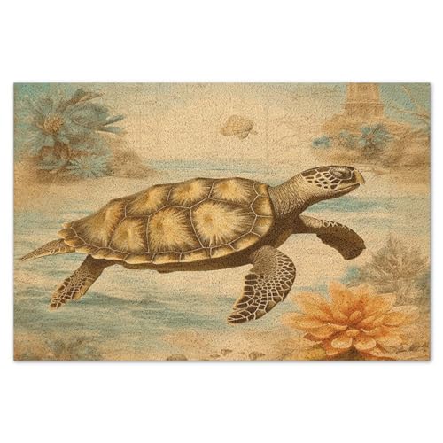 Turtle Coir Fiber Front Door Mat 16x24in K48678