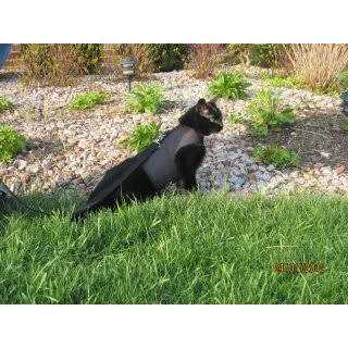 Cat Harness D107059