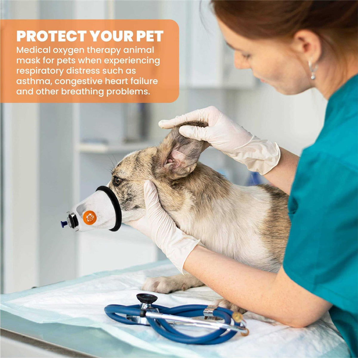 Medical Pet Oxygen Mask for Dogs And Cats with Tubing H610201
