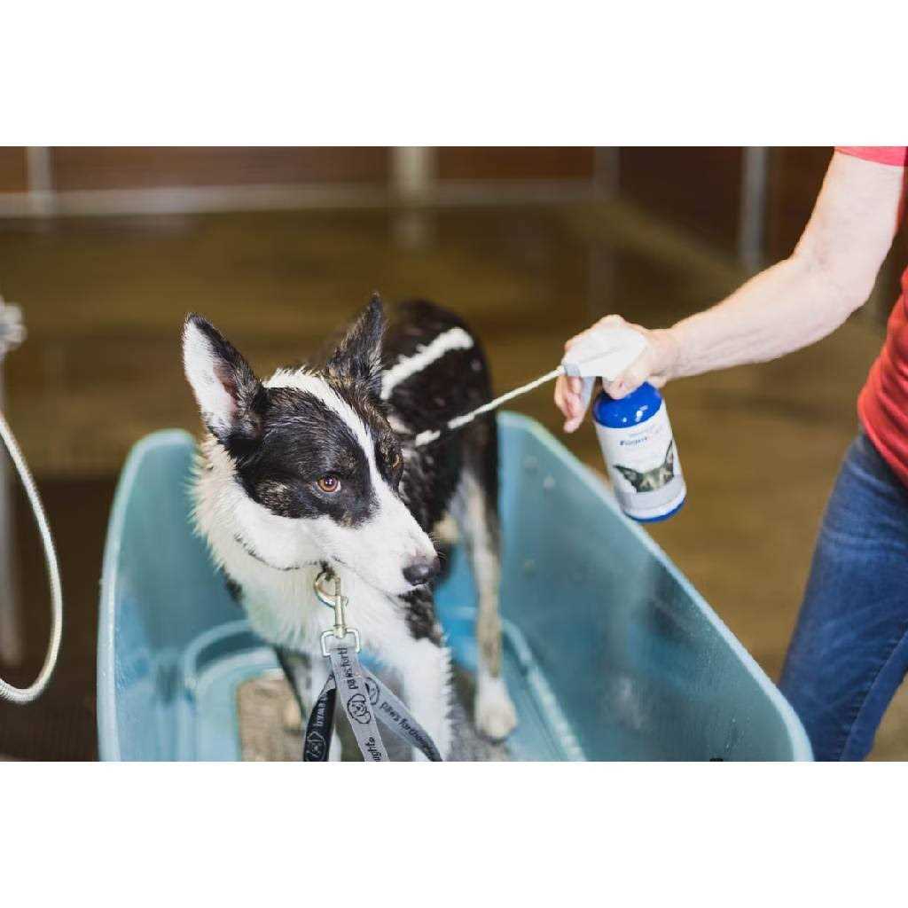 Medicated Pet Shampoo Z8056