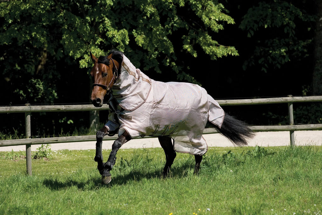 Fly Sheet D5681