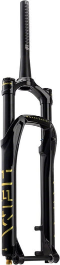 Suspension Fork - 29", 120mm, 15 x 110 mm, 44mm Offset, Black/Gold I35445